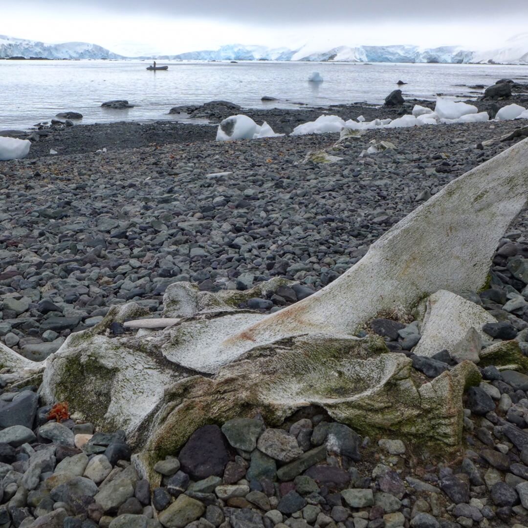 2017-05-17 21.51.11 1516908514341550424_5025663047.jpg